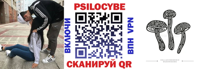 Псилоцибиновые грибы Psilocybine cubensis Подпорожье